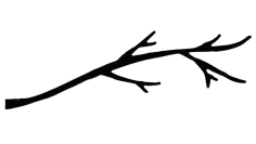 341466a504cea73a6a0cbf87480ce031 removebg preview